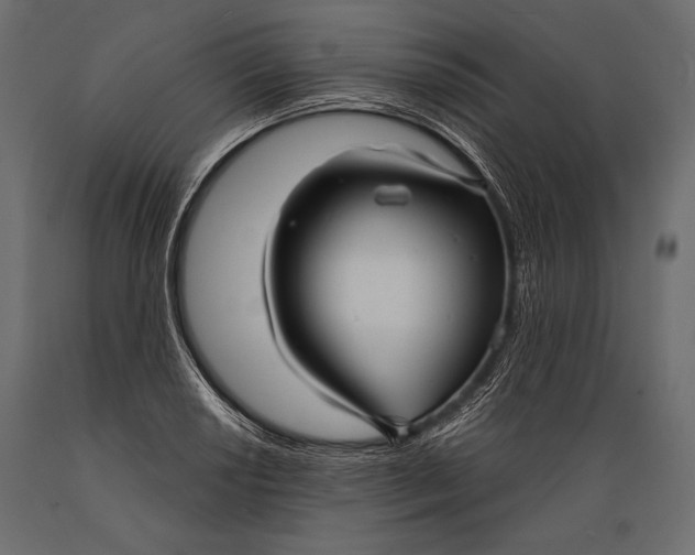 X0000088851034200706291450