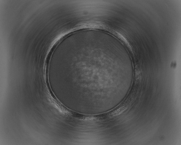 X0000088851035200706291450