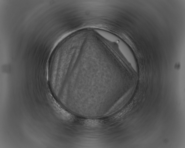 X0000088851036200706291450