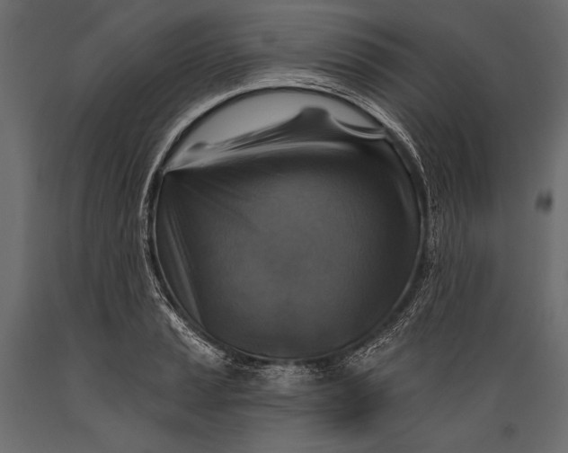 X0000088851037200706291450