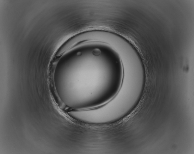 X0000088851038200706291450