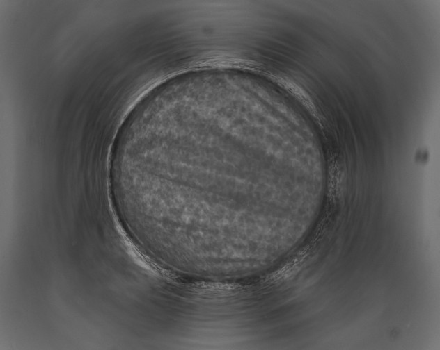 X0000088851039200706291450