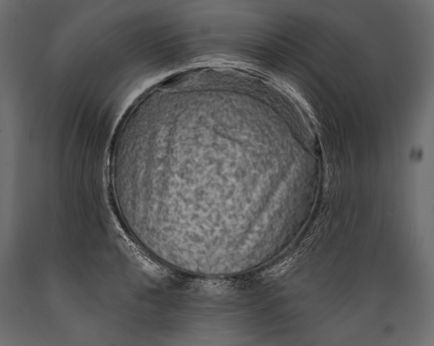 X0000088851040200706291450