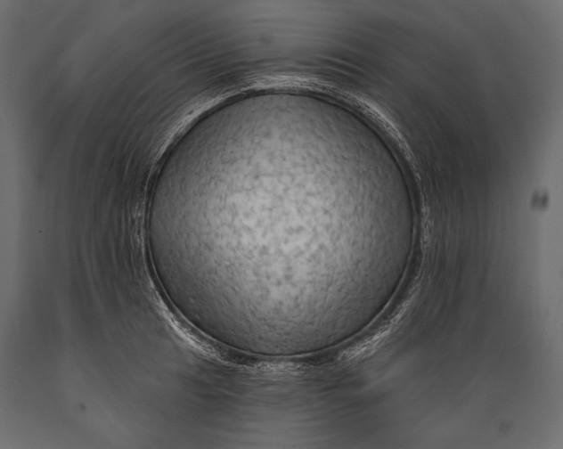 X0000088851041200706291450