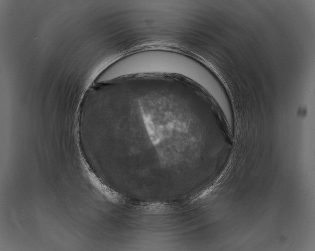 X0000088851042200706291450