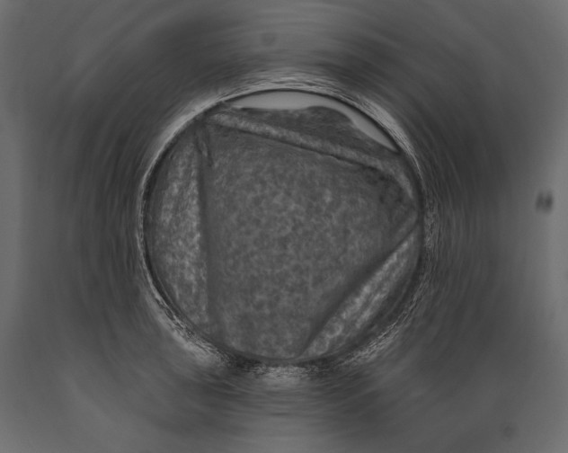 X0000088851043200706291450