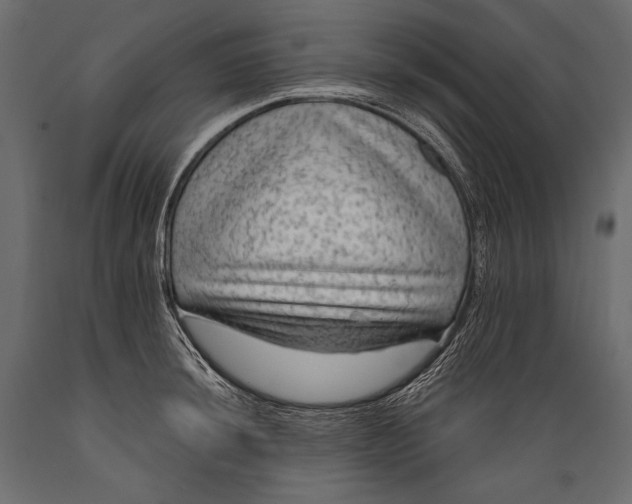 X0000088851044200706291450