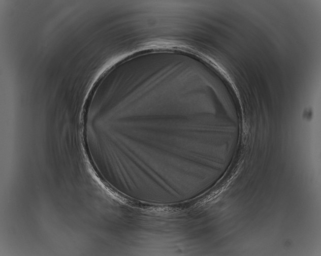 X0000088851045200706291450