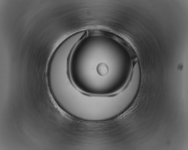 X0000088851046200706291450