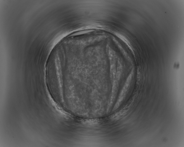 X0000088851047200706291450