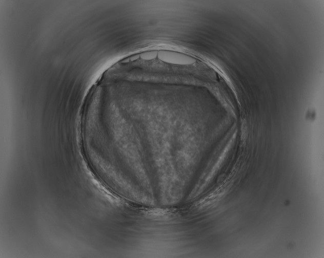 X0000088851048200706291450