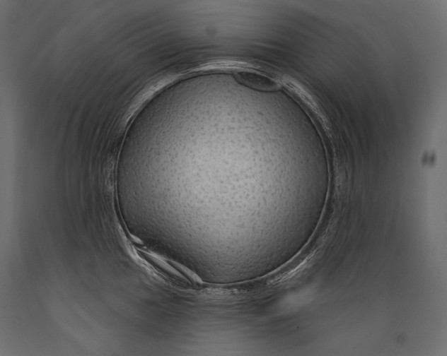 X0000088851049200706291450