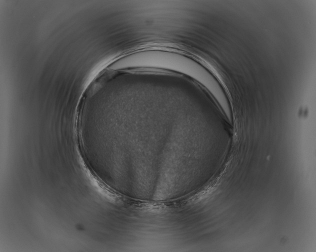 X0000088851050200706291450