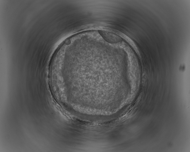 X0000088851051200706291450