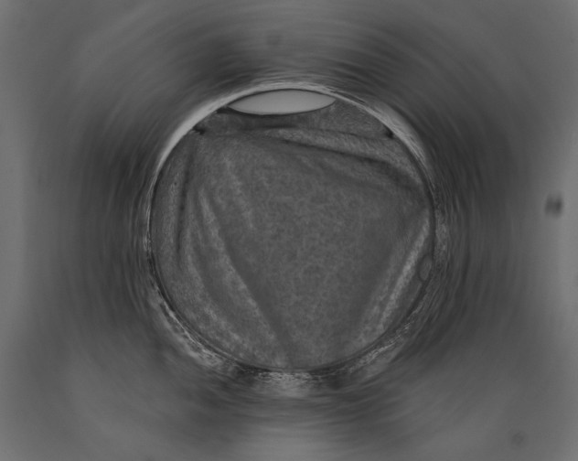 X0000088851052200706291450