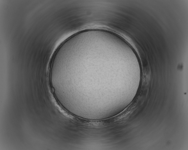 X0000088851053200706291450