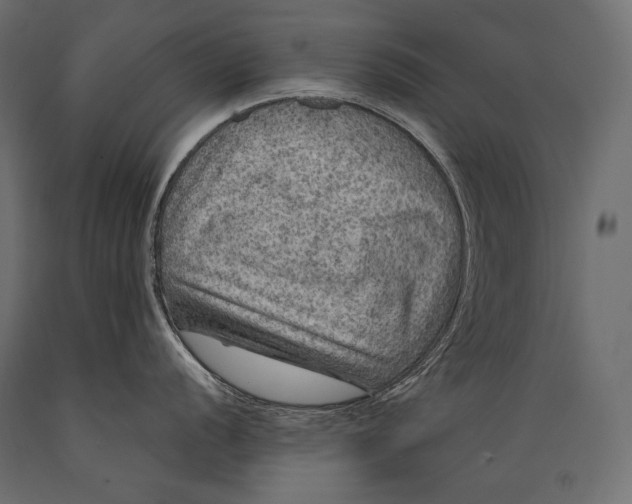 X0000088851056200706291450