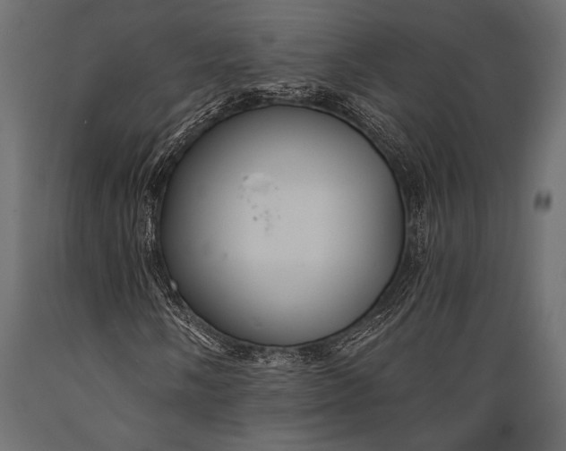 X0000088851058200706291450