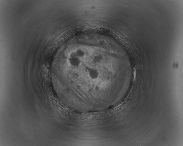 X0000088851059200706291450