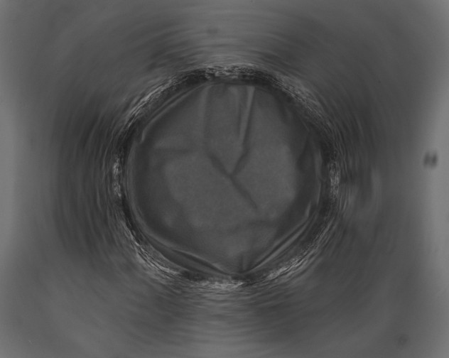 X0000088851060200706291450