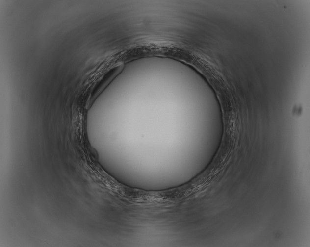 X0000088851061200706291450