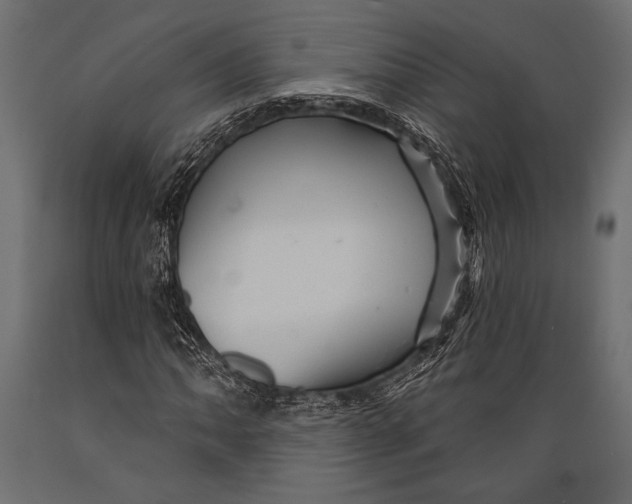 X0000088851062200706291450