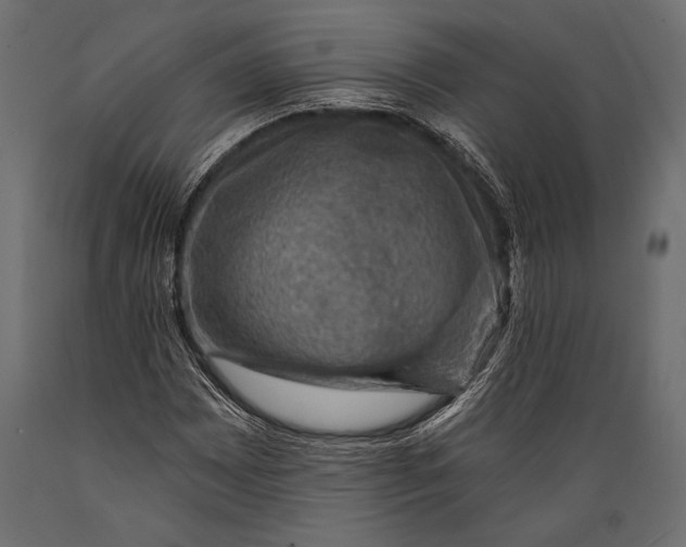 X0000088851065200706291450