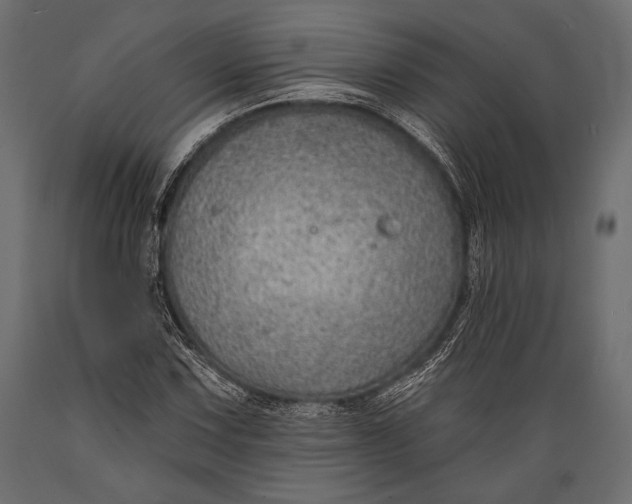 X0000088851067200706291450