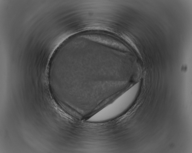 X0000088851068200706291450