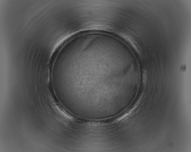 X0000088851069200706291450