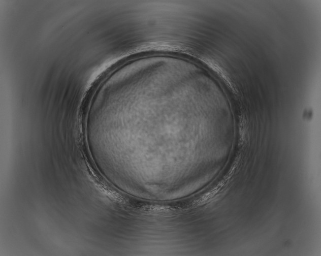 X0000088851070200706291450