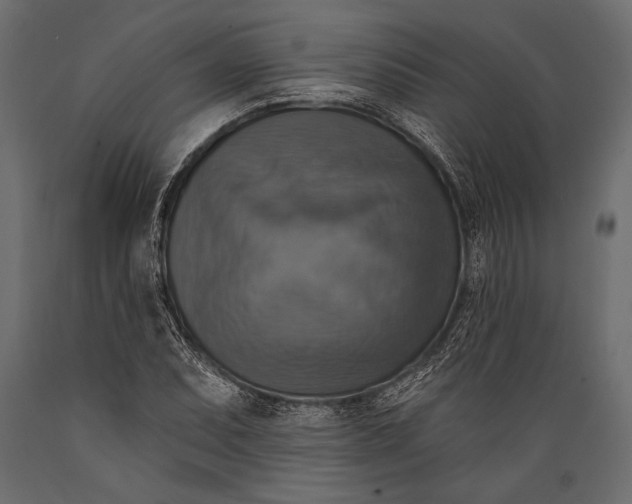 X0000088851071200706291450