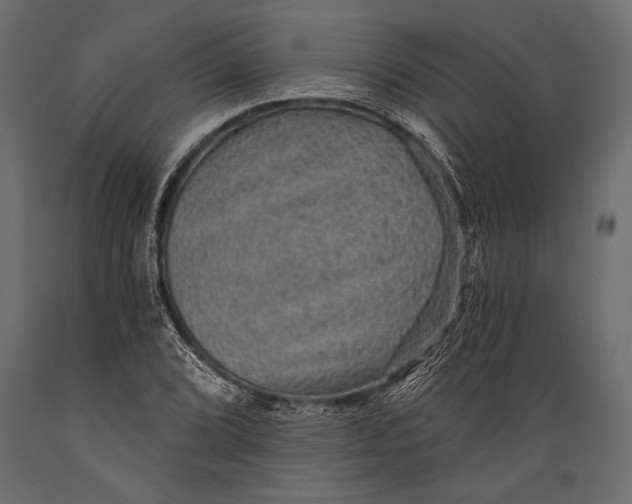 X0000088851072200706291450