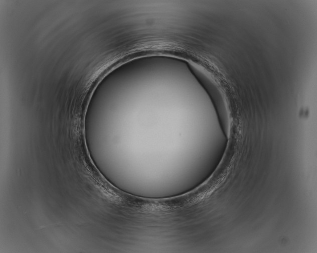 X0000088851073200706291450