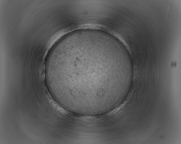 X0000088851075200706291450