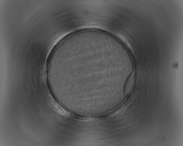 X0000088851076200706291450