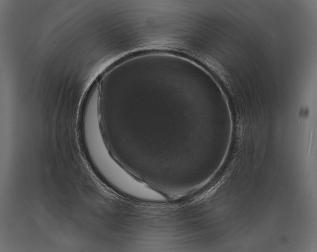 X0000088851077200706291450