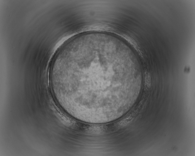 X0000088851078200706291450