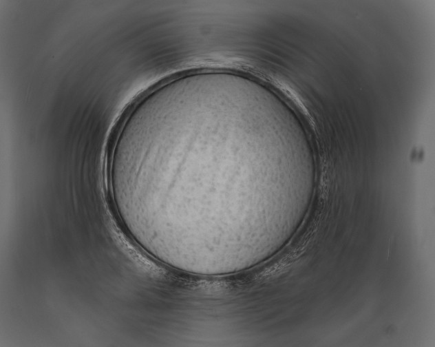 X0000088851080200706291449