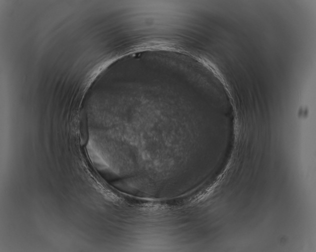 X0000088851081200706291449