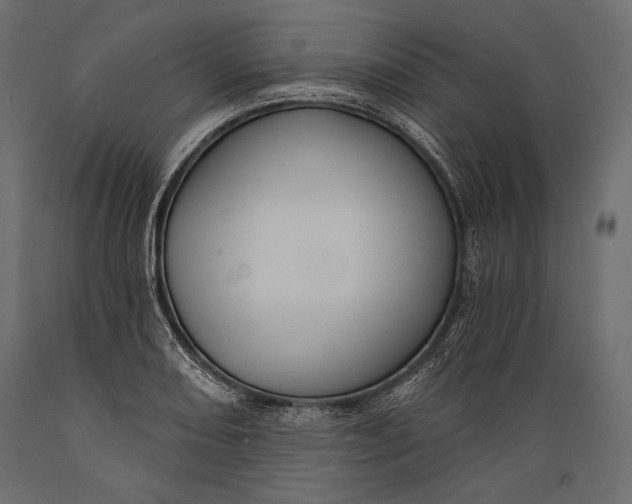 X0000088851082200706291449