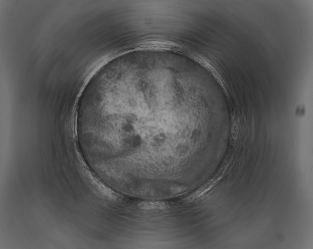 X0000088851083200706291449