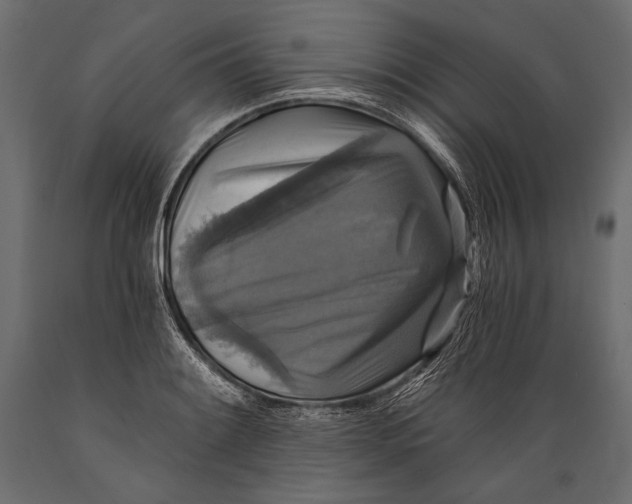 X0000088851084200706291449