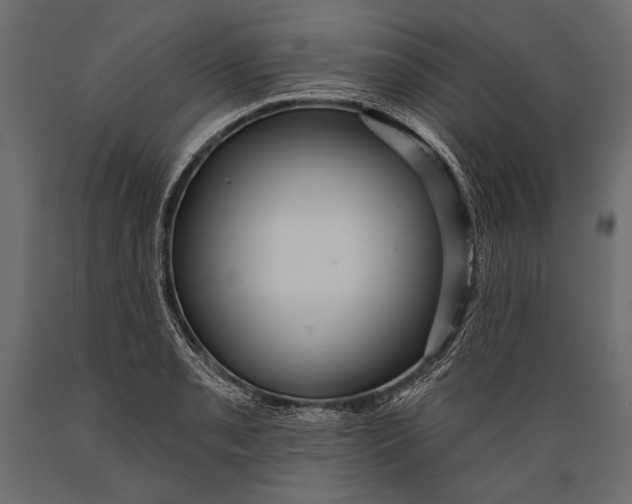 X0000088851085200706291449