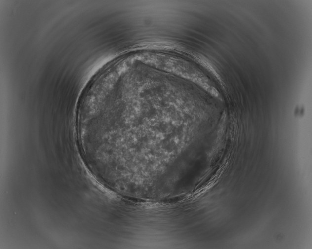 X0000088851087200706291449