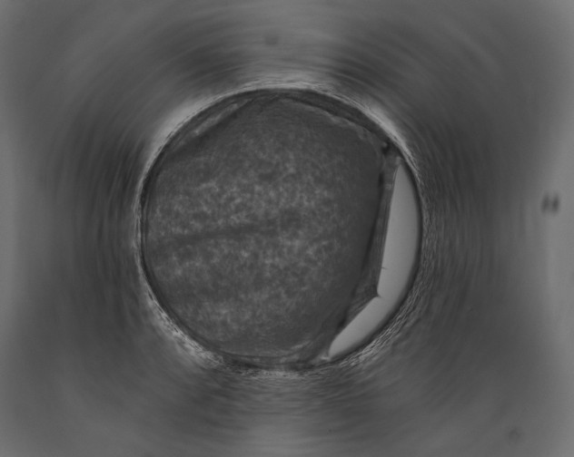 X0000088851088200706291449