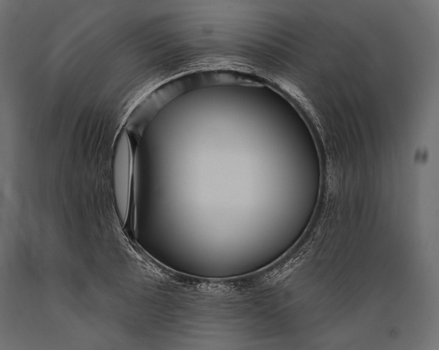 X0000088851089200706291449