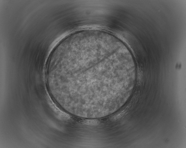 X0000088851090200706291449