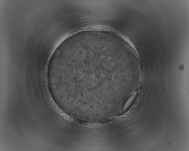 X0000088851091200706291449