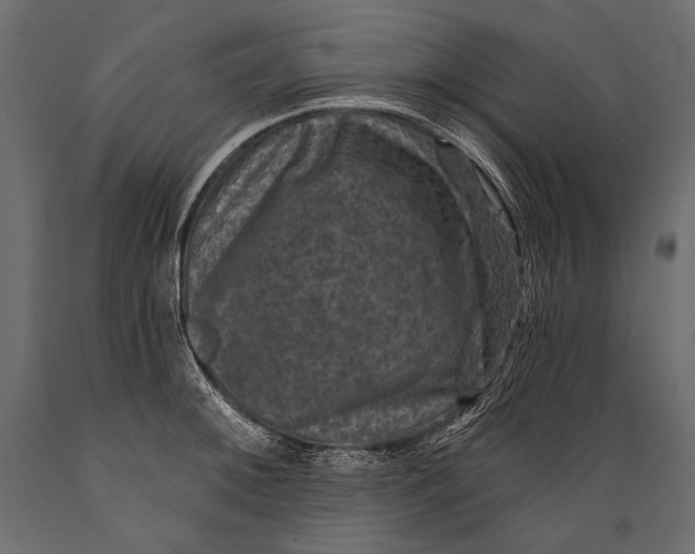 X0000088851092200706291449